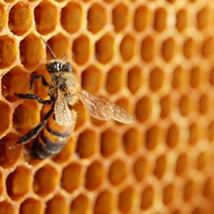 Lager / Hochregallager