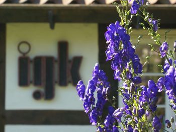 igk Krabbe - Firmengarten