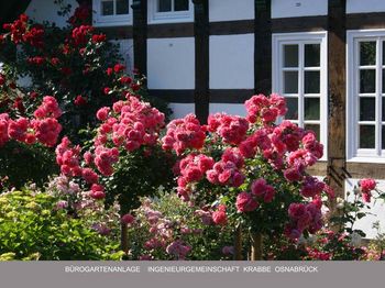 igk Krabbe - FirmenGärten 2014